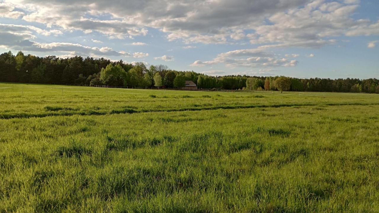 Kolorowe Wzgorze Agroturystyka I Konie Trojanow Εξωτερικό φωτογραφία