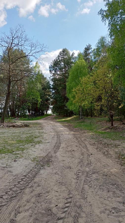 Kolorowe Wzgorze Agroturystyka I Konie Trojanow Εξωτερικό φωτογραφία