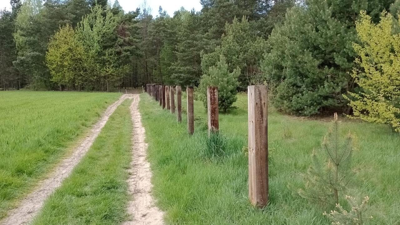 Kolorowe Wzgorze Agroturystyka I Konie Trojanow Εξωτερικό φωτογραφία